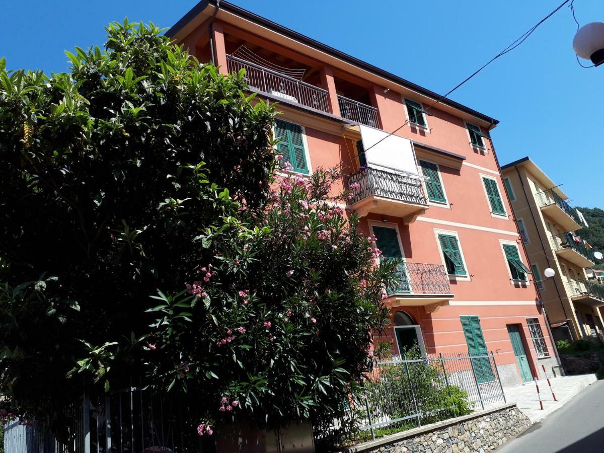 Appartamenti Enrica โมเนเลีย ภายนอก รูปภาพ
